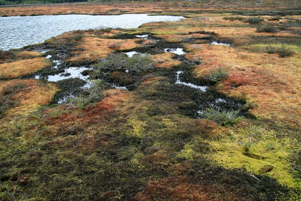 Tierra del Fuego