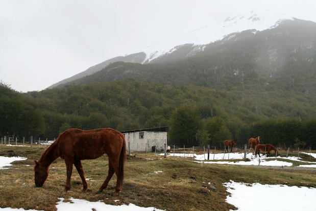 Tierra del Fuego