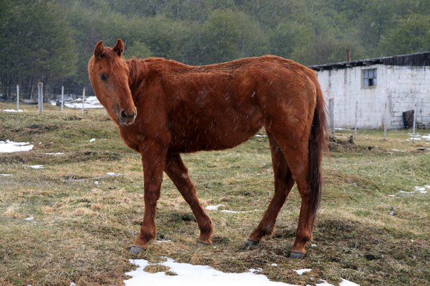 Tierra del Fuego