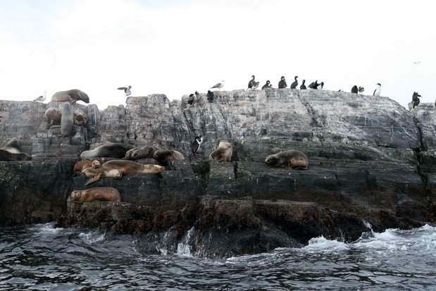 Canal de Beagle