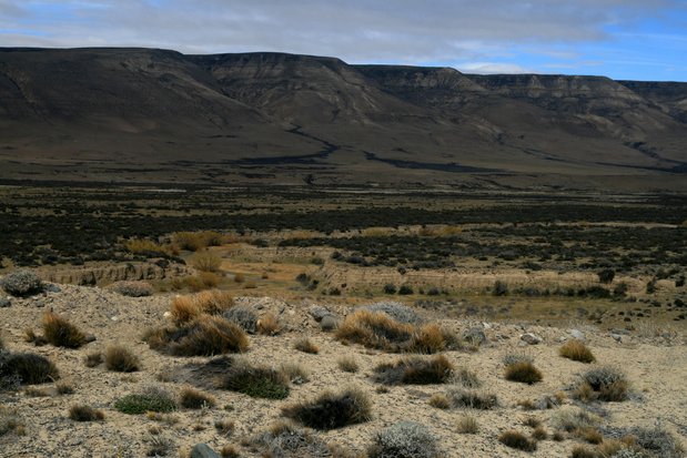 Dans la région de Santa Cruz