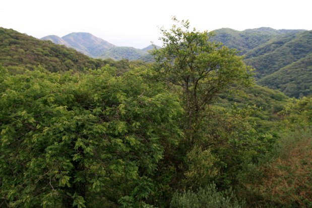 Vers San Salvador de Jujuy