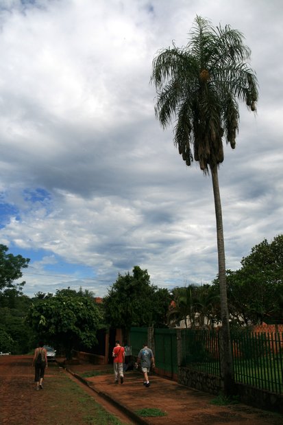Dans la ville de Puerto Iguazu