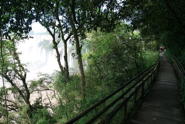 Chutes d'Iguazu