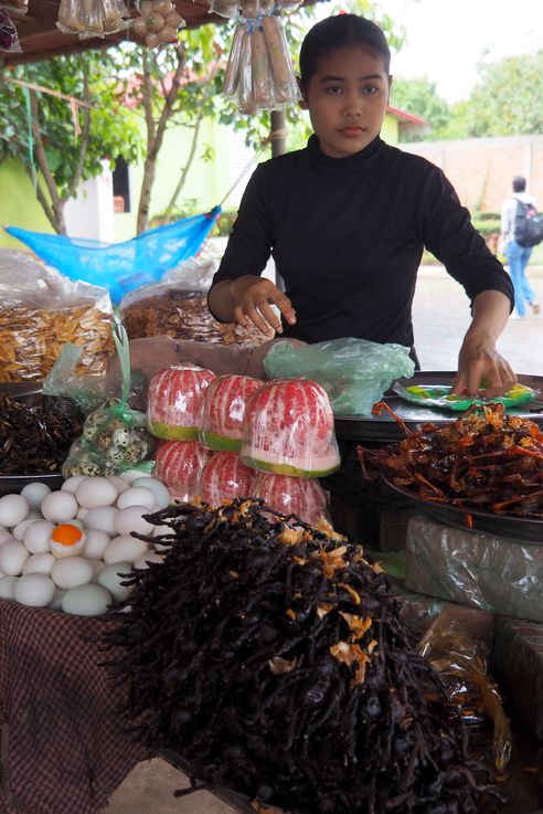 Mygales au marché de Skun Surya Paradise