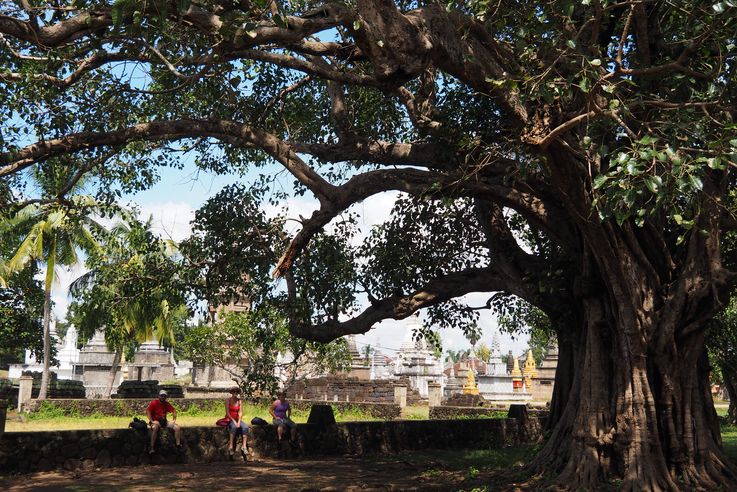 Au temple Wat Nokor