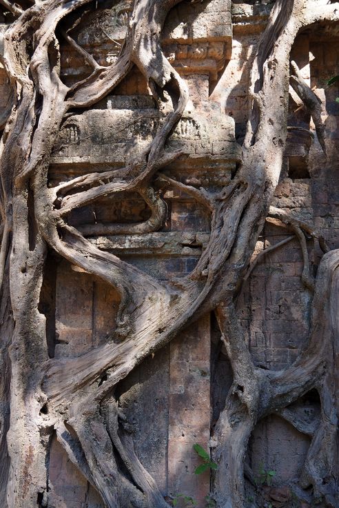 le temple Sambor Prei Kuk