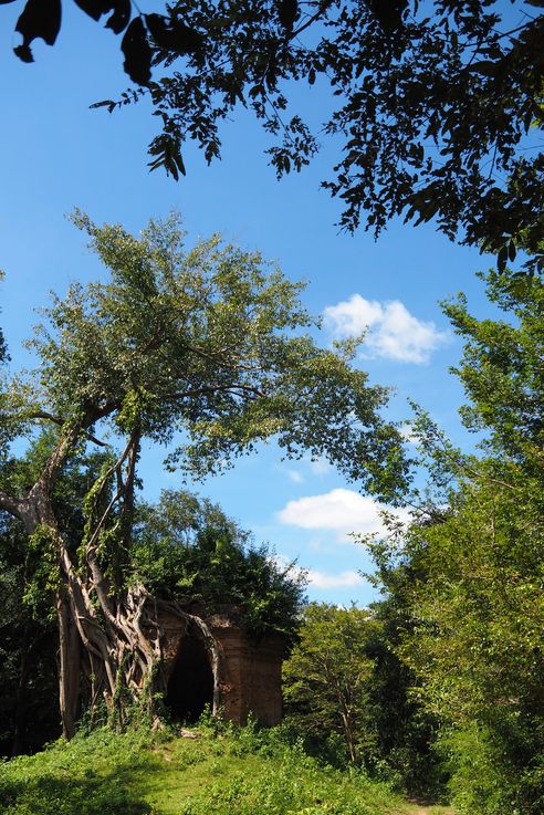 le temple Sambor Prei Kuk