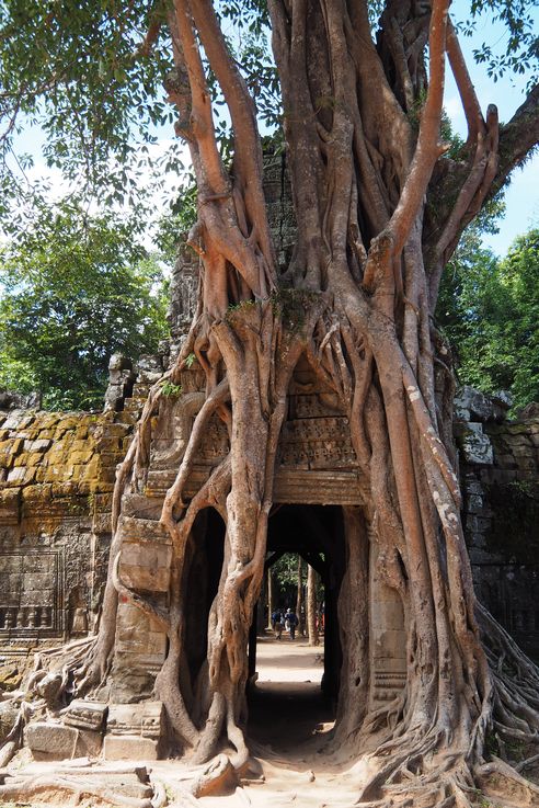 Le temple d'Angkor Ta Saom