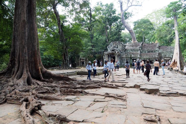 Le temple d'Angkor Ta Prohm