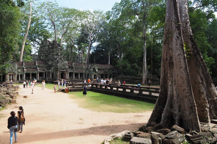 Le temple d'Angkor Ta Prohm
