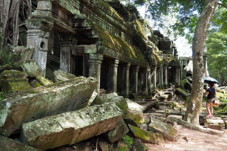 Le temple d'Angkor Ta Prohm