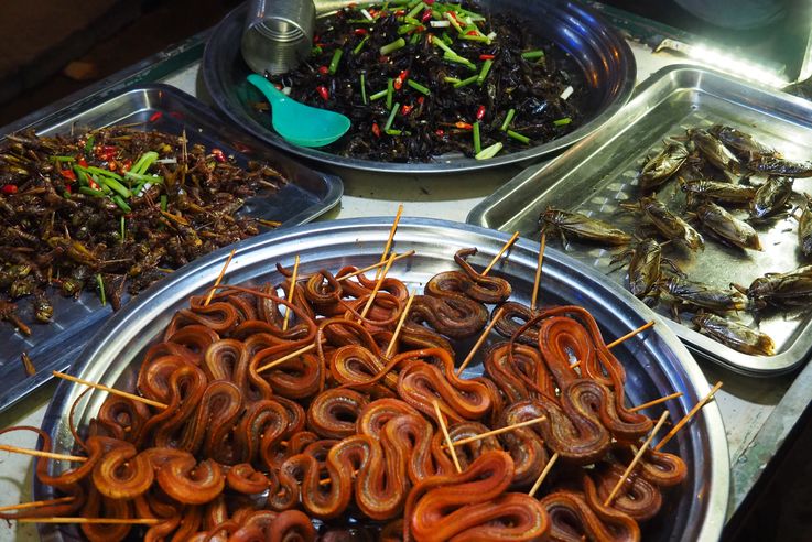 Serpents et blattes au marché de Siem Reap