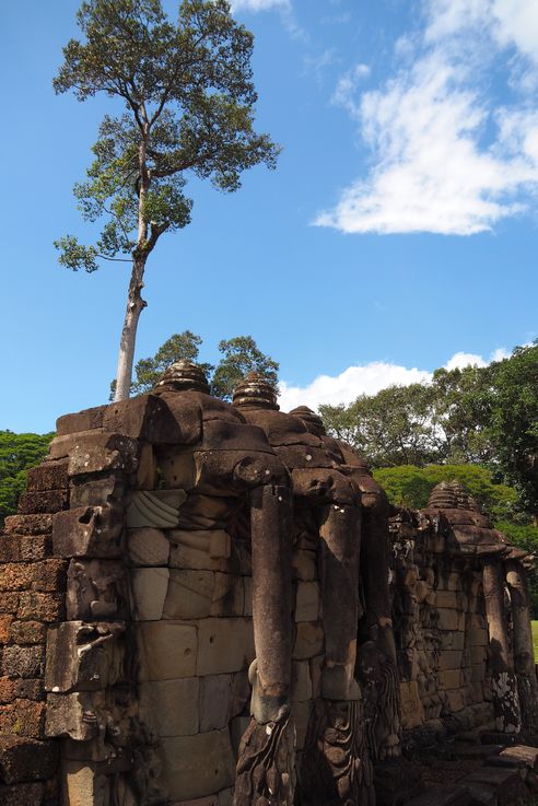 Le temple d'Angkor, la terrasse des éléphants