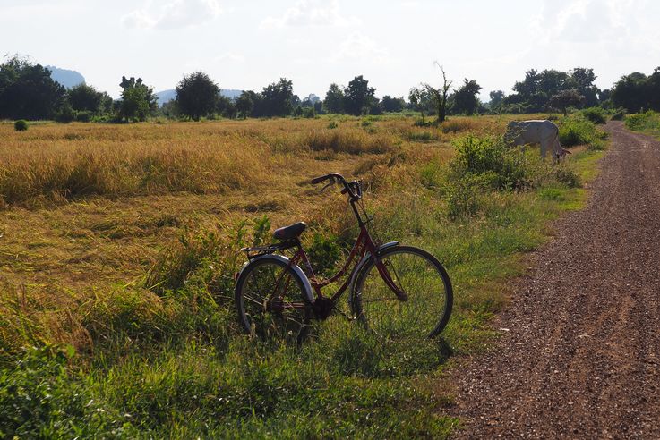 Bicyclettes à Battambang
