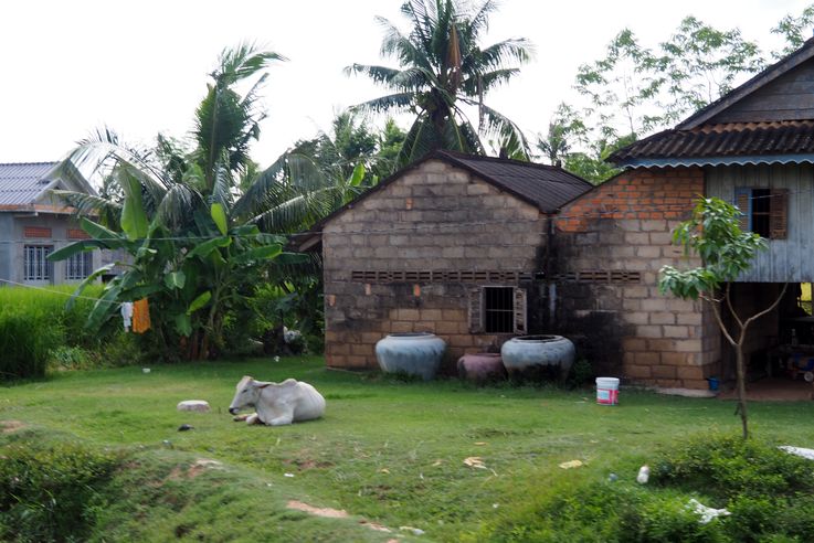 La campagne de Kampot