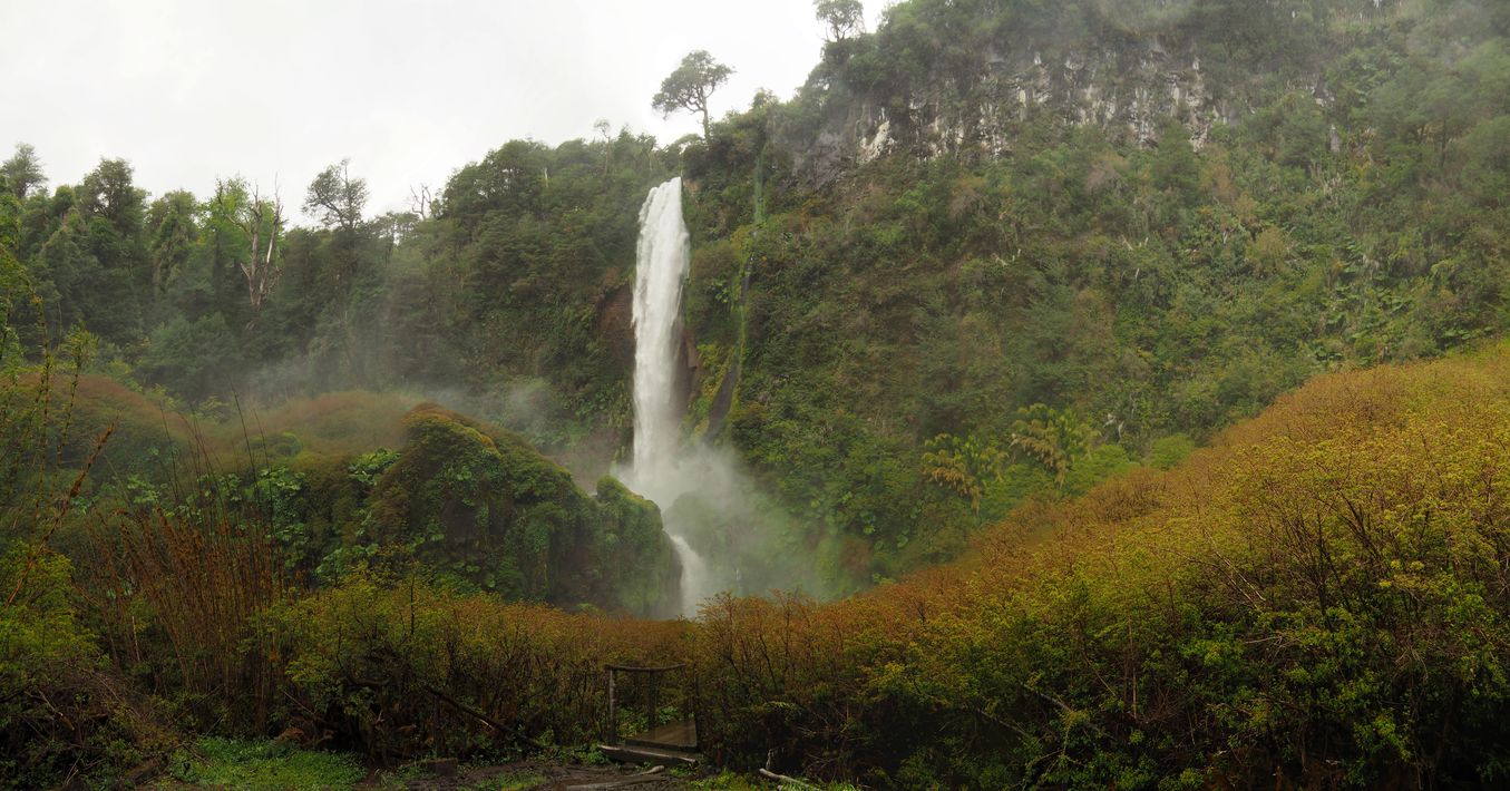 Salto el Leon