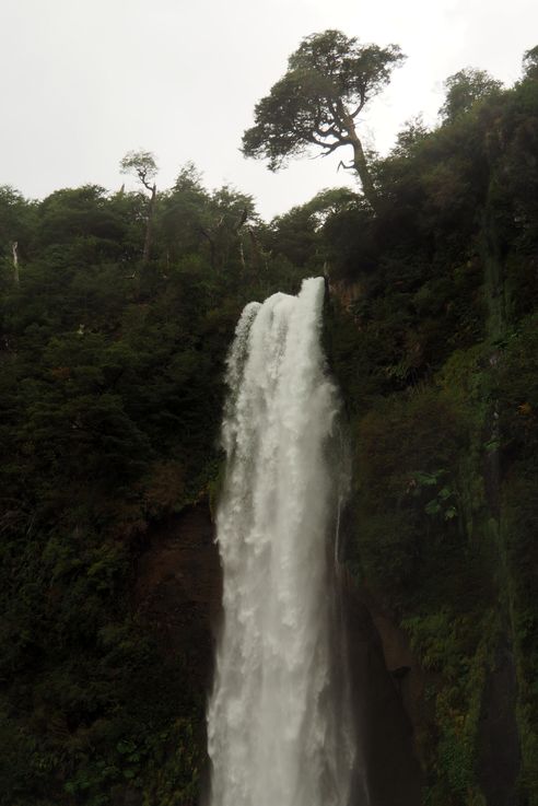 Salto el Leon