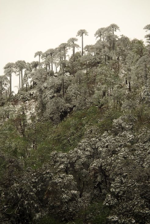 La rando Santuario el Cañi