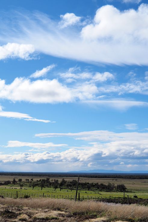 La route 9 de Punta Arenas