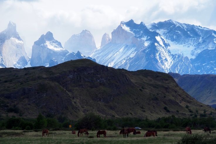 Pics Torres del Paine