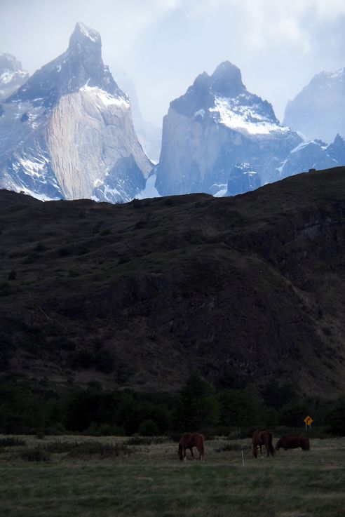 Pics Torres del Paine