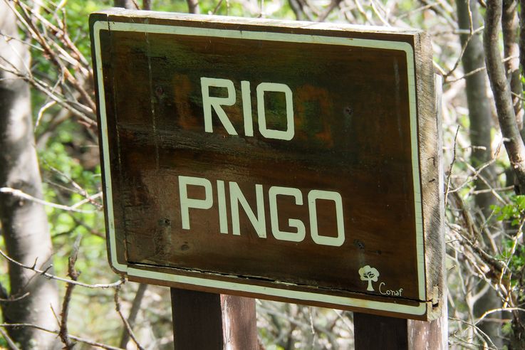 Rio Pingo - Torres del Paine