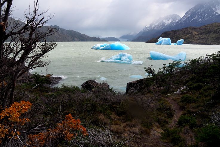 Le lago Grey