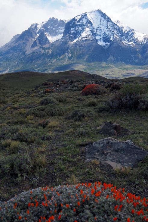 Monte Almirante Nieto - Torres del Paine