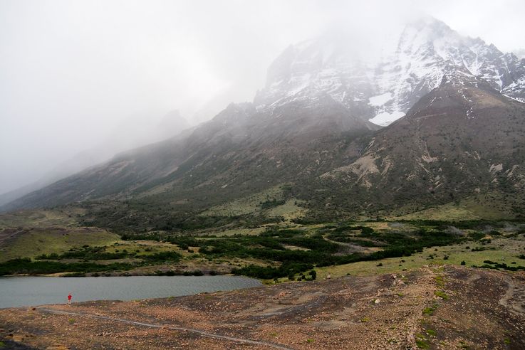 Sendero al Lago Inge - Torres del Paine