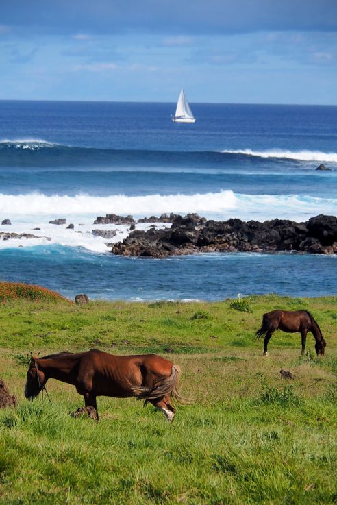 Ahu Tahai - l'île de Pâques