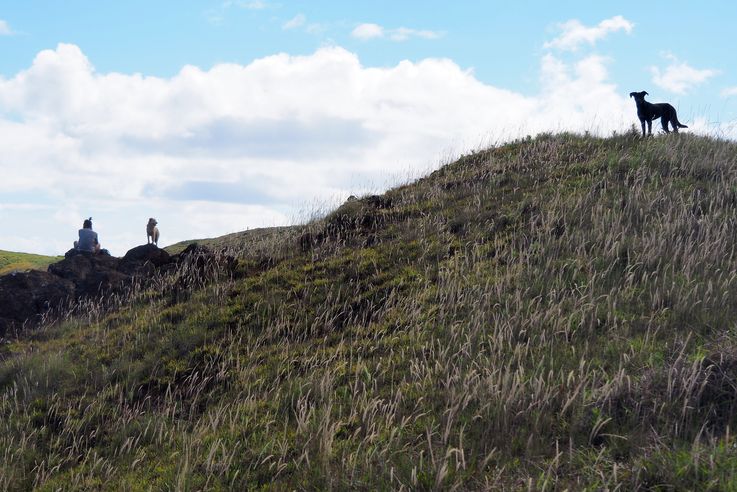 Au volcan Rano Kau - l'île de Pâques