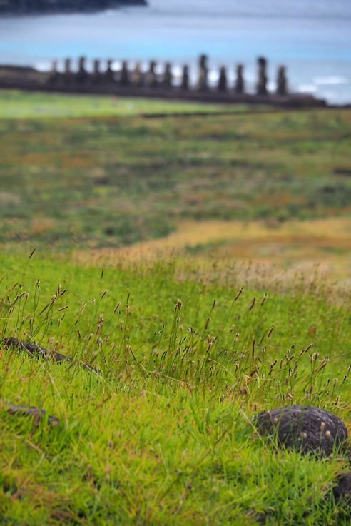 Rano Raraku - l'île de Pâques