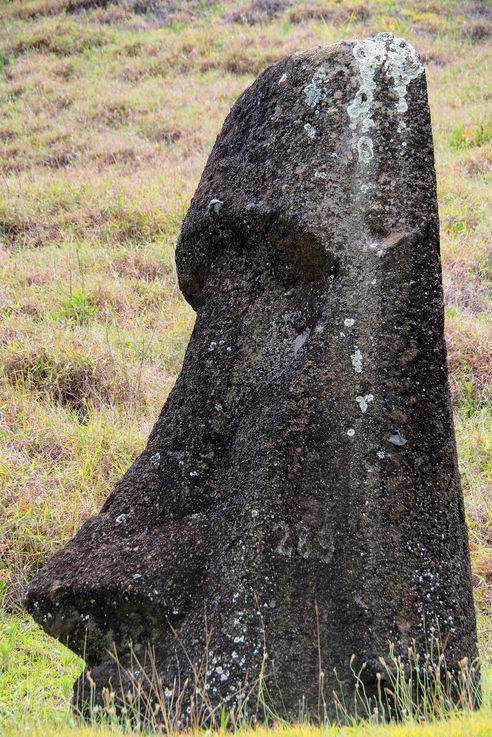 Rano Raraku - l'île de Pâques