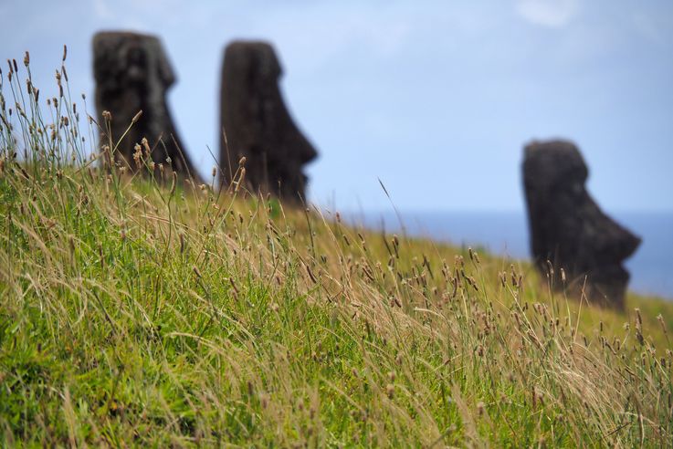 Rano Raraku - l'île de Pâques