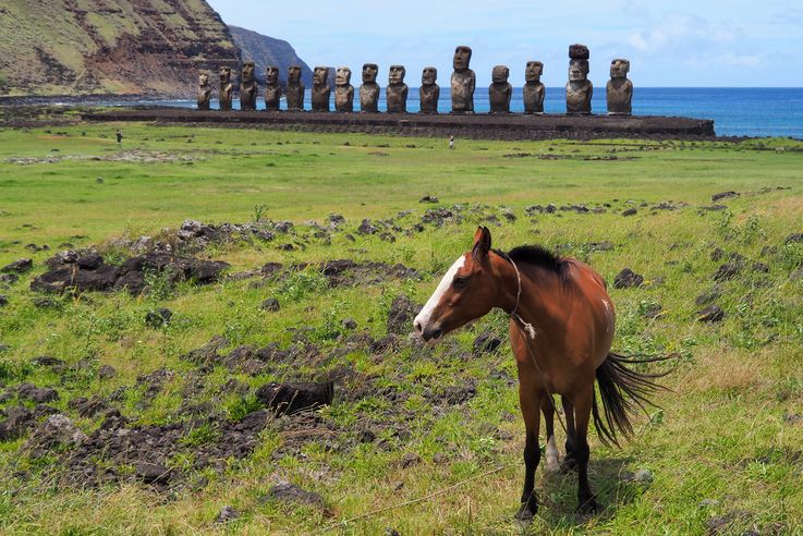 Ahu Tongariki - l'île de Pâques