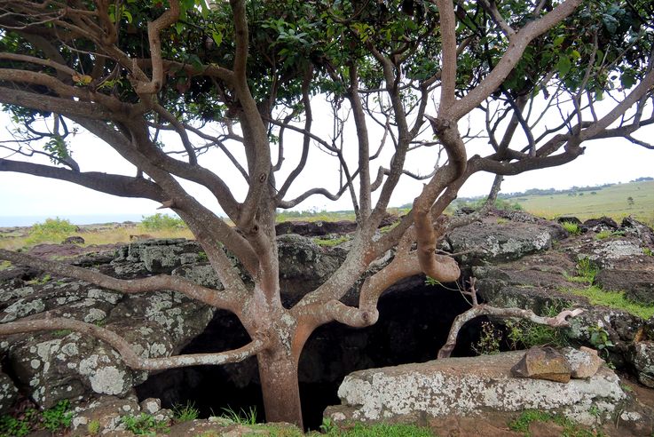 Grotte Ana Te Pahu - l'île de Pâques