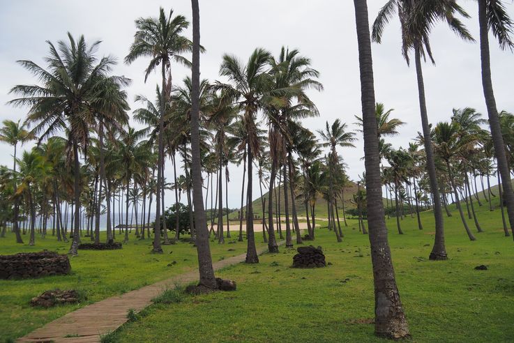 Anakena - l'île de Pâques