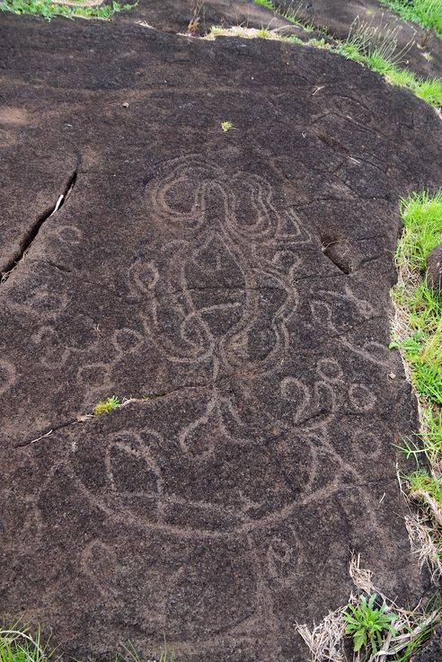 Les pétroglyphes Papa Vaka - l'île de Pâques