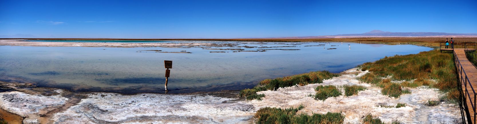 Laguna Cejar - désert d'Atacama