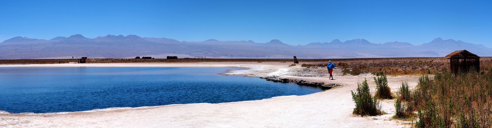 Laguna Piedra - désert d'Atacama