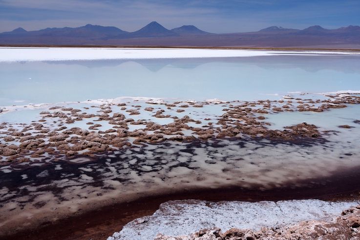Atacama : les lagunas Cejar, Tebenquiche, Miñiques et Miscanti