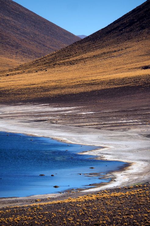 Laguna Miñiques - désert d'Atacama