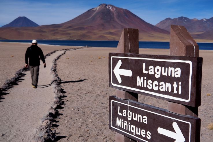 Laguna Miscanti - désert d'Atacama