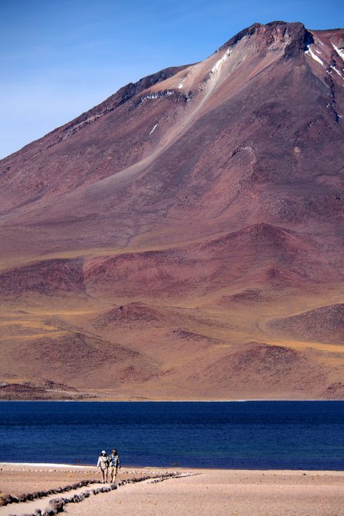 Laguna Miscanti - désert d'Atacama