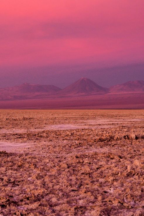 Salar de Chaxa - désert d'Atacama