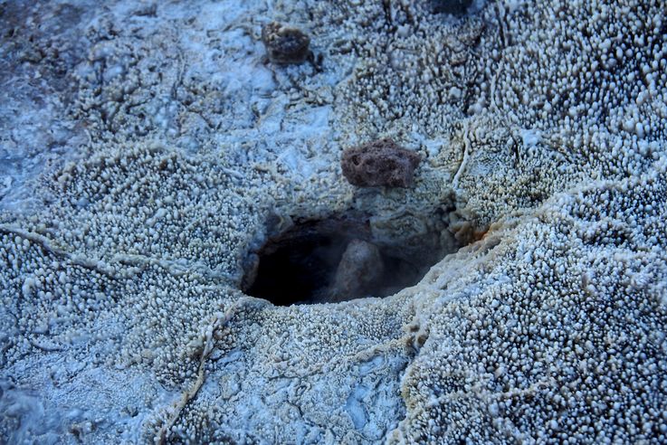 El Tatio - désert d'Atacama