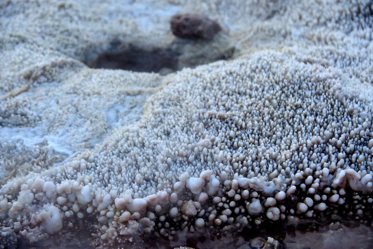 El Tatio - désert d'Atacama