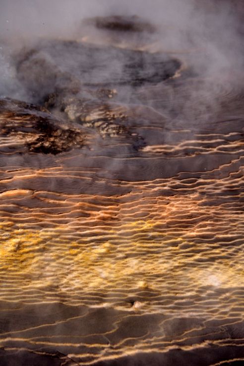 El Tatio - désert d'Atacama