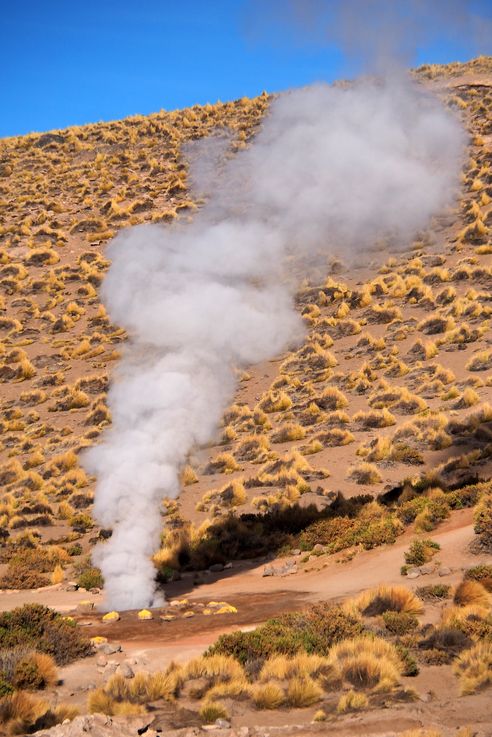 El Tatio - désert d'Atacama